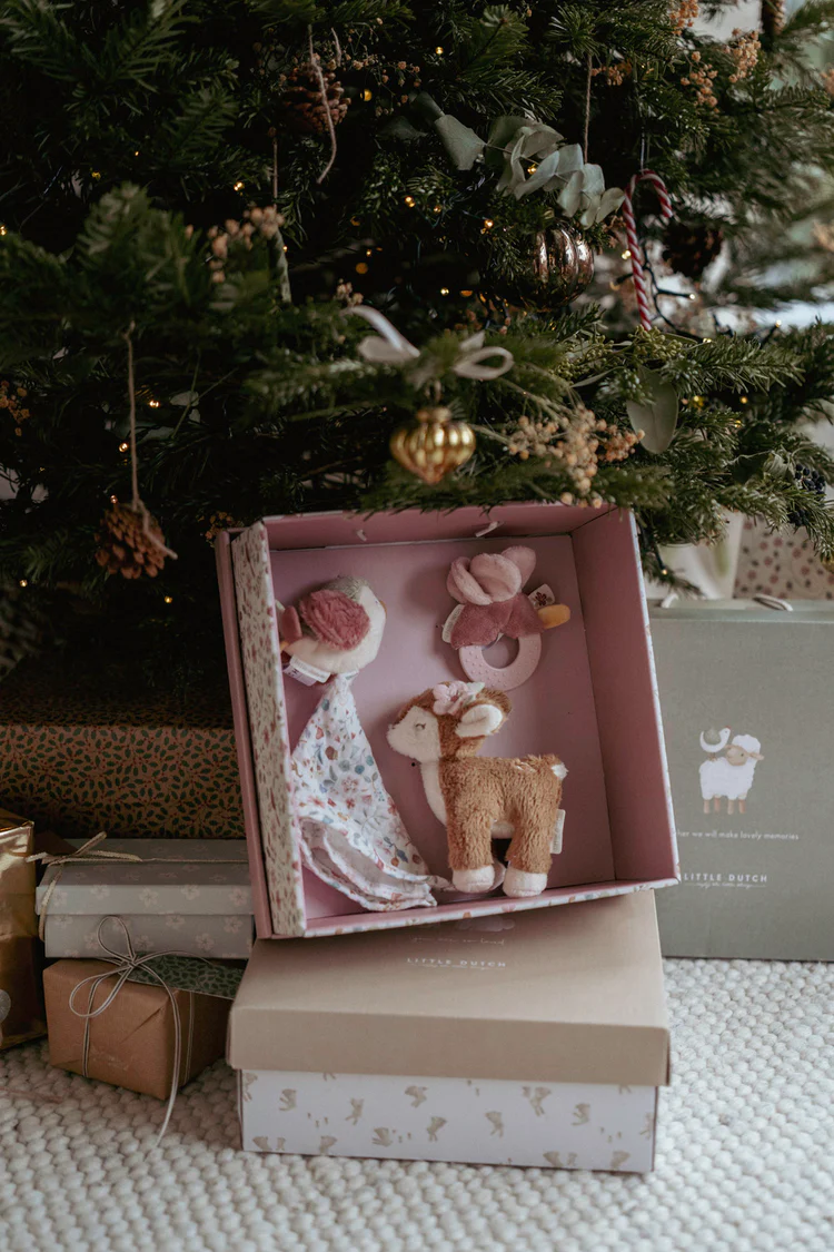 Poklon set za bebe Fairy Garden Poklon set za bebe Fairy Garden