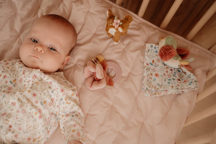 Poklon set za bebe Fairy Garden Poklon set za bebe Fairy Garden