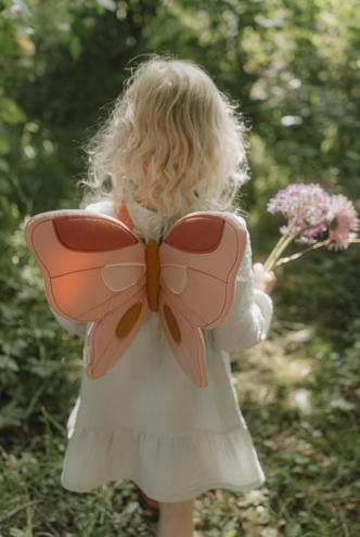 Little Dutch vilinska krila i čarobni štapić